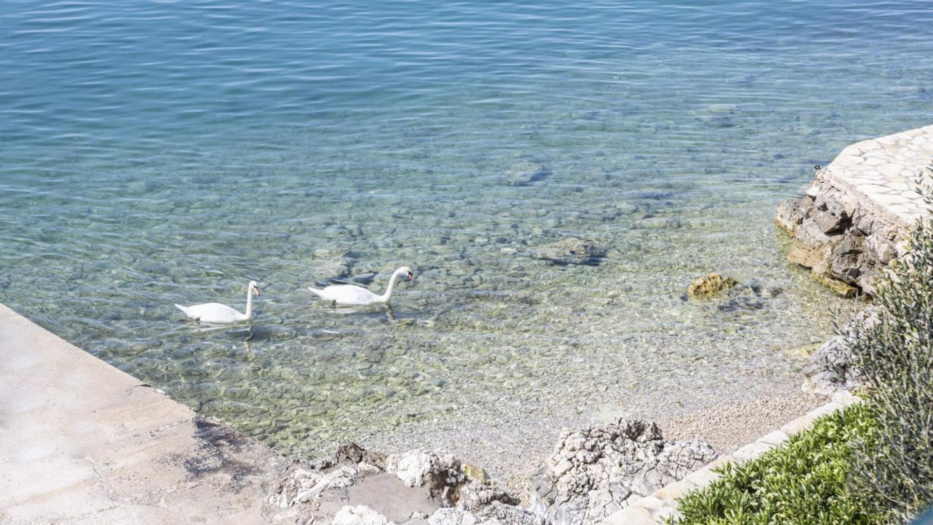 Casa Mano Tribunj With Beach Εξωτερικό φωτογραφία